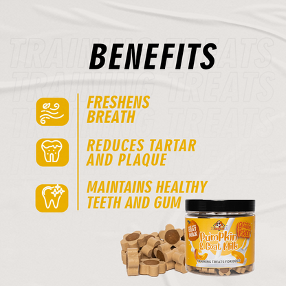 Nootie Gluten-Free Training Treats for Dogs – Pumpkin & Goat Milk Flavour (220g) | Dental Care, Digestion & Immune Support