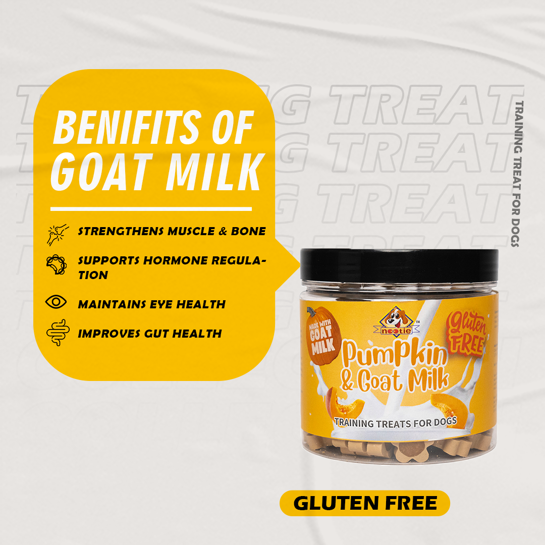 Nootie Gluten-Free Training Treats for Dogs – Pumpkin & Goat Milk Flavour (220g) | Dental Care, Digestion & Immune Support