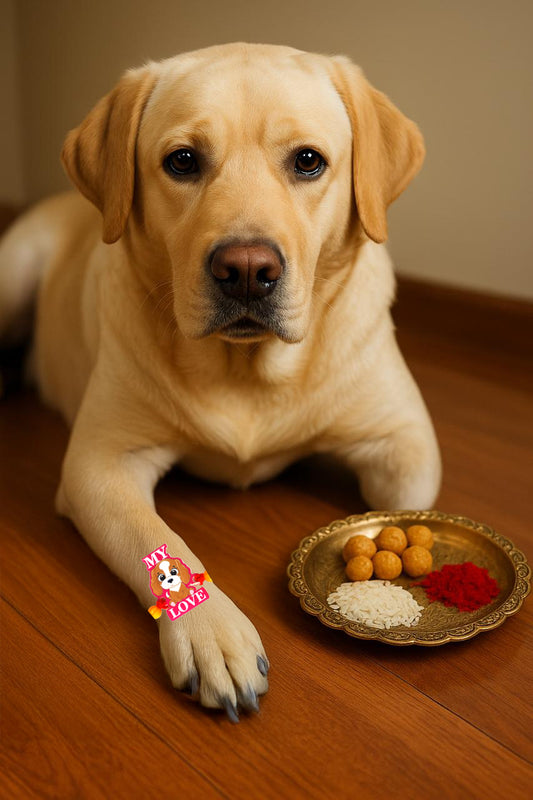 Nootie Rakhi for Your Pet Dog – Celebrate Raksha Bandhan with Your Furry Sibling