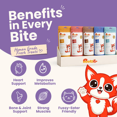 Rewards Assorted Box for Cats (Pack of 6) | Assorted Chews & Treats - High-Protein & Taurine-Rich Natural Snacks for Heart Health - nootie.in