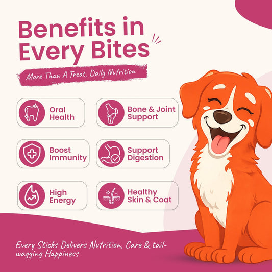 Rewards Chewy Sticks for Dogs (50g) | Chicken | Real Chicken, Collagen-Enriched & High-Protein Chewy Snack - nootie.in