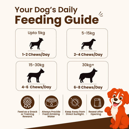 Rewards Woof Chews Crunchy for Dogs (50g) | Dehydrated Chicken Jerky - nootie.in
