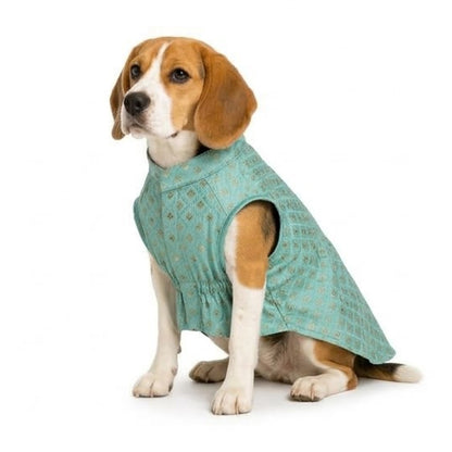 Nootie Dog Kurta - Brocade Light Teal Blue