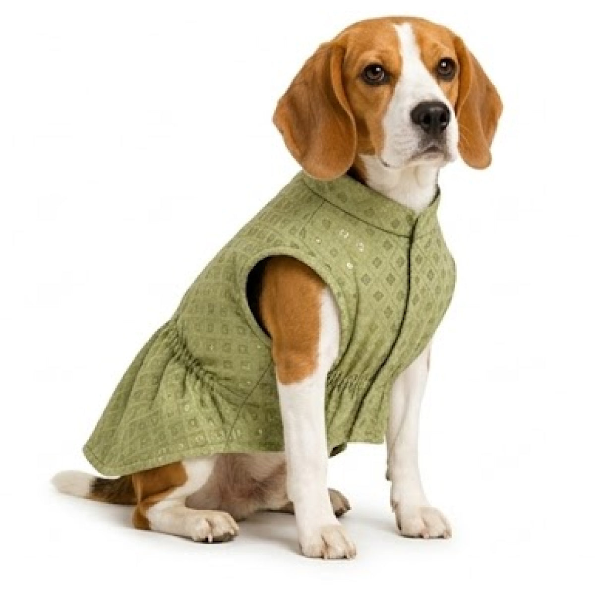 Nootie Dog Kurta - Brocade Lime