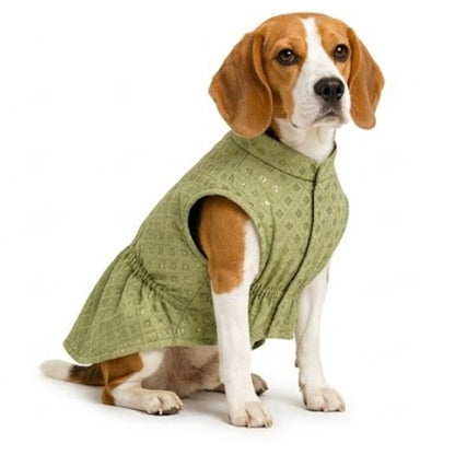 Nootie Dog Kurta - Brocade Lime