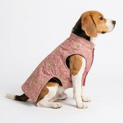 Nootie Dog Kurta - Brocade Pink