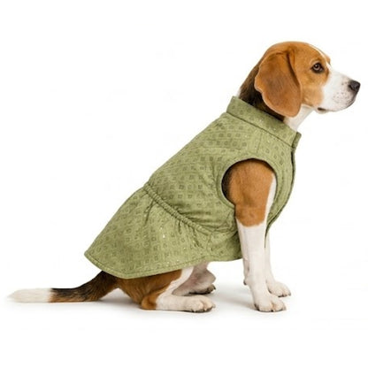 Nootie Dog Kurta - Brocade Lime
