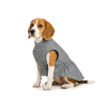 Nootie Dog Kurta - Brocade Grey