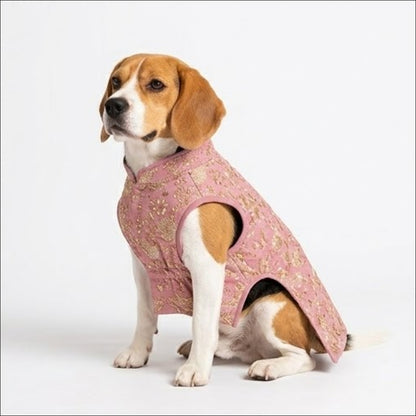 Nootie Dog Kurta - Brocade Pink