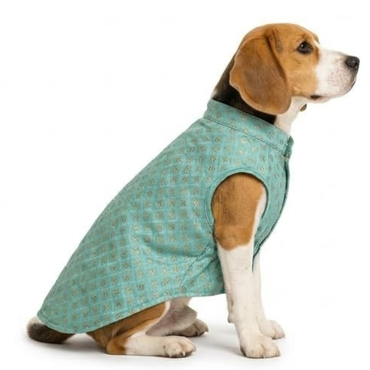 Nootie Dog Kurta - Brocade Light Teal Blue