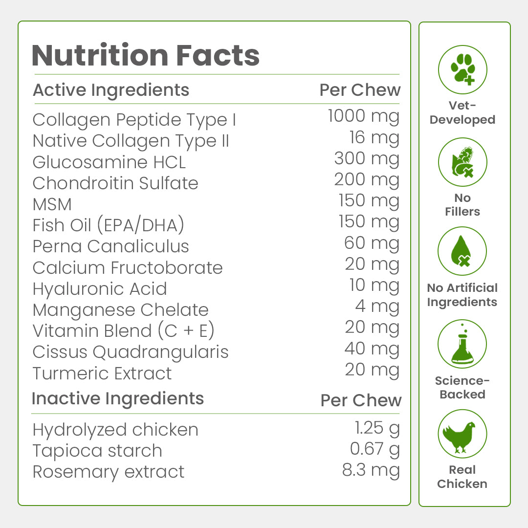 Nootie+ Health Chews for Dogs (30 chews) | Joint Support & Mobility - Joint Support, Pain Relief & Anti-Inflammation
