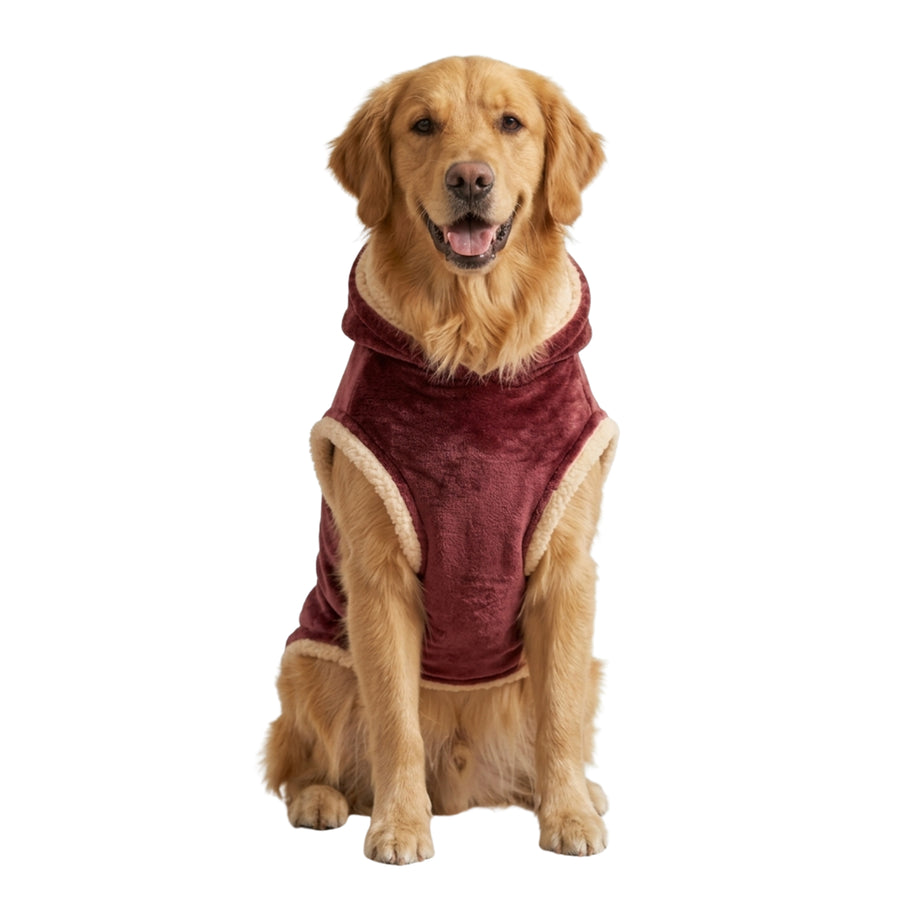 Nootie Dogs Winterwear Hoodie - Red Star