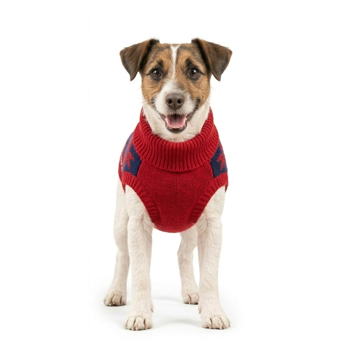 Nootie Dogs Jingle Paws Sweater