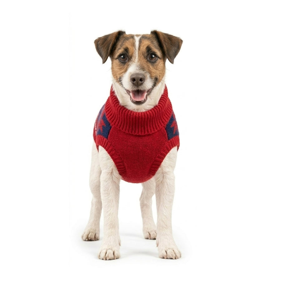 Nootie Dogs Jingle Paws Sweater