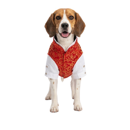 Nootie Dog Kurta Jacket Set - Red & Gold