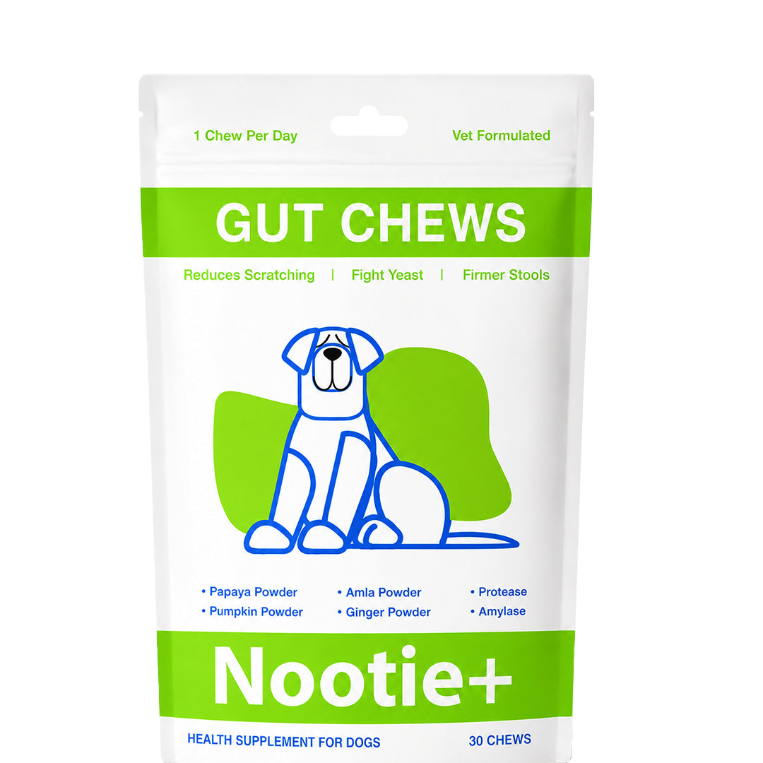 Nootie+ Health Chews for Dogs (30 chews) | Probiotics for Gut Health - Digestive Support, Firmer Stools & Yeast Balance