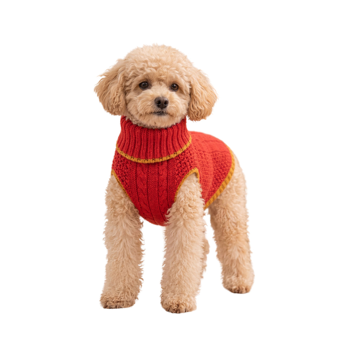 Nootie Dogs Alpine Knit Sweater