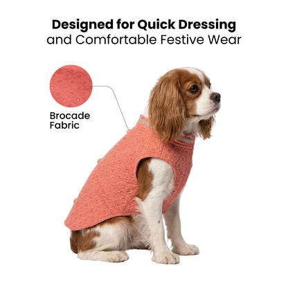 Nootie Dog Sherwani - Peach