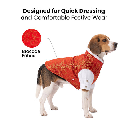 Nootie Dog Kurta Jacket Set - Red & Gold