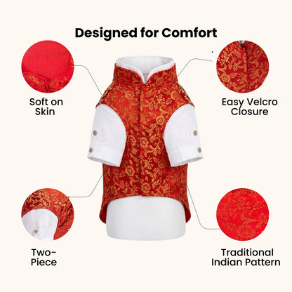 Nootie Dog Kurta Jacket Set - Red & Gold