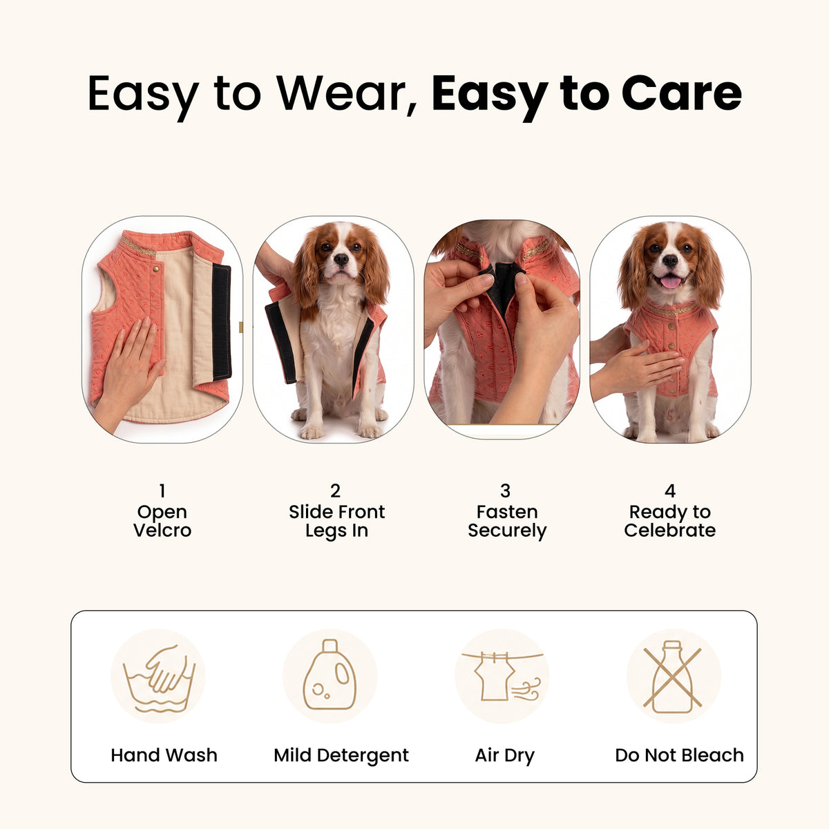 Nootie Dog Sherwani - Peach