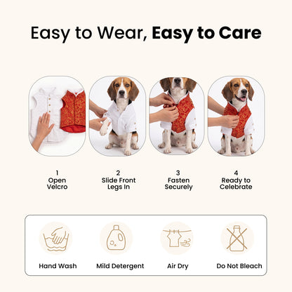 Nootie Dog Kurta Jacket Set - Red & Gold
