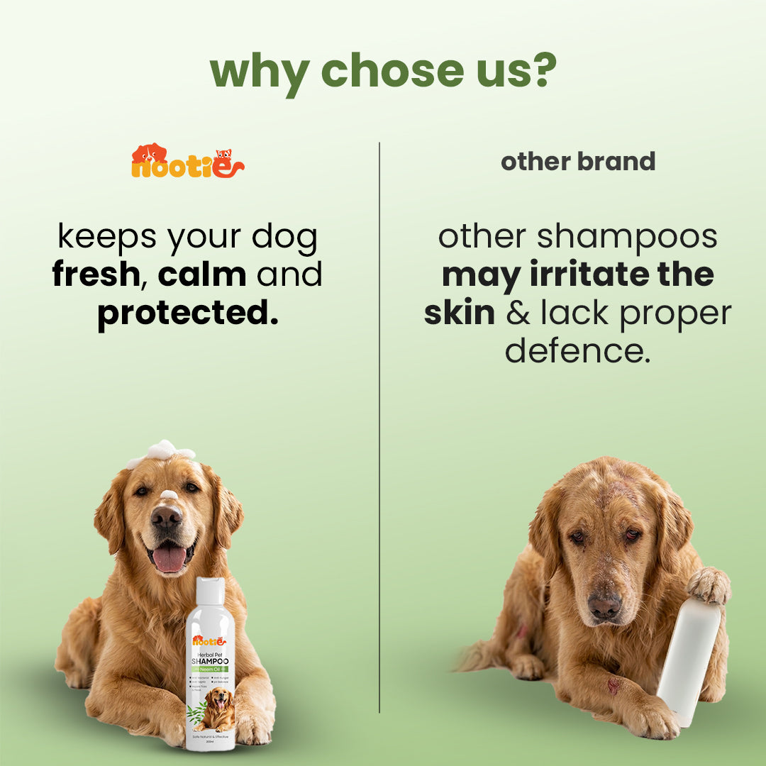 Nootie Herbal Neem Dog Shampoo (200 ml) | Anti-Tick, Soothing & Deodorising Cleanse