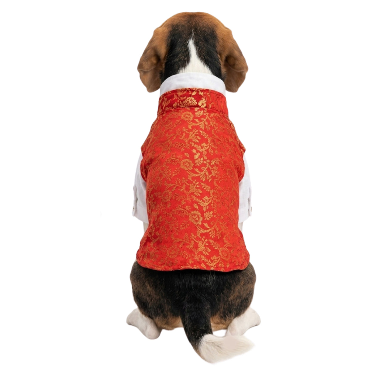 Nootie Dog Kurta Jacket Set - Red & Gold