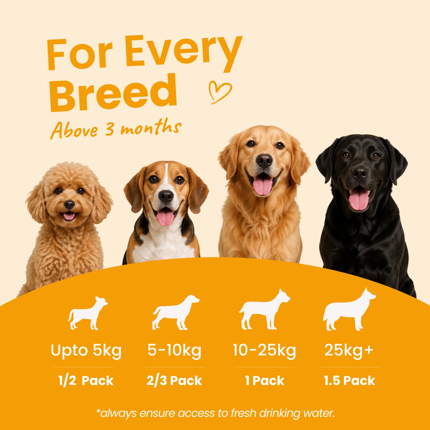 Monthly Pack - Nibblr Daily Power Feast for Dogs (25 x 300g) Free Yellow Bowl + 3 Extra Packs