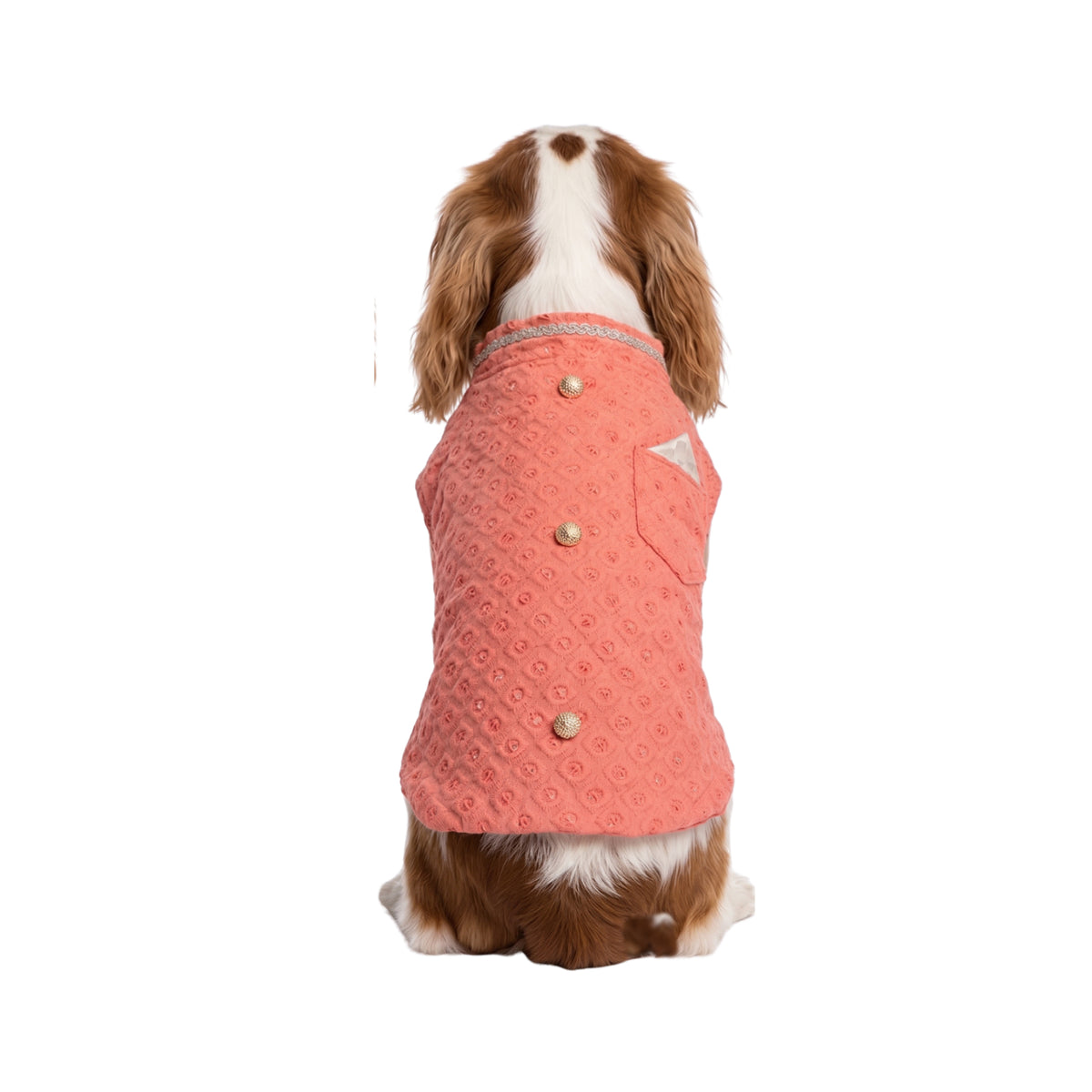 Nootie Dog Sherwani - Peach