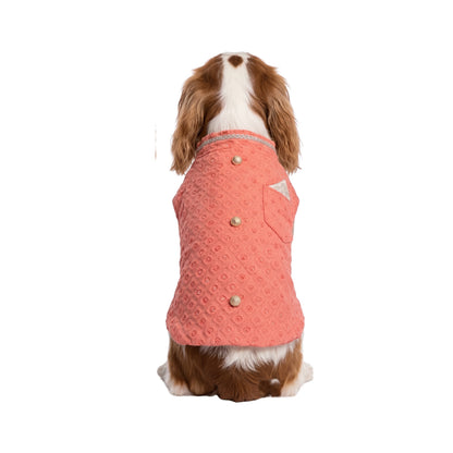 Nootie Dog Sherwani - Peach