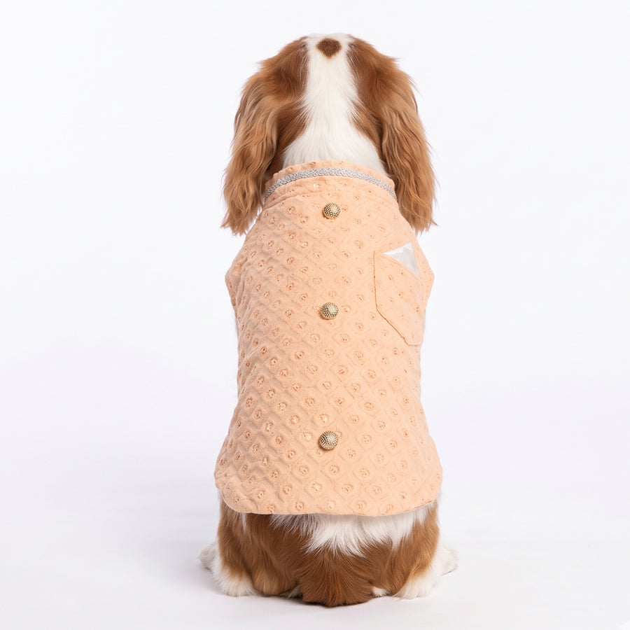 Nootie Dog Sherwani - Peach