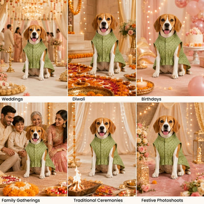 Nootie Dog Kurta - Brocade Lime