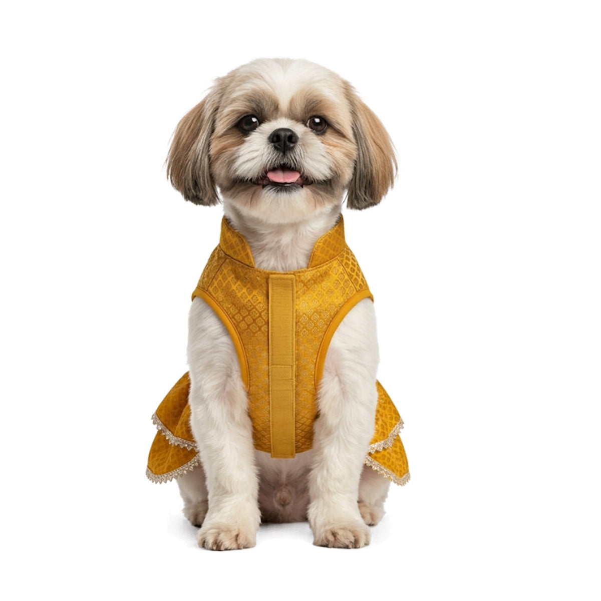 Nootie Dog Festive Brocade Skirt & Blouse - Yellow