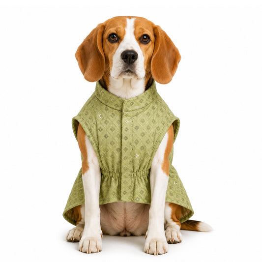 Nootie Festive Brocade Dog Kurta | Traditional Ethnic Outfit for Weddings, Festivals and Celebrations