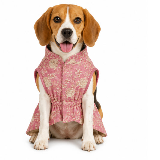 Nootie Festive Brocade Dog Kurta | Traditional Ethnic Outfit for Weddings, Festivals and Celebrations