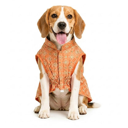Nootie Dog Kurta - Peach Brocade | Traditional Ethnic Outfit for Weddings, Festivals and Celebrations