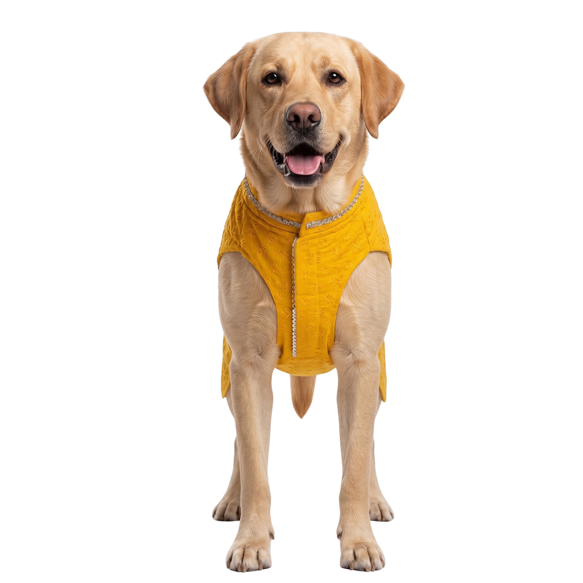 Nootie Dog Sherwani - Yellow