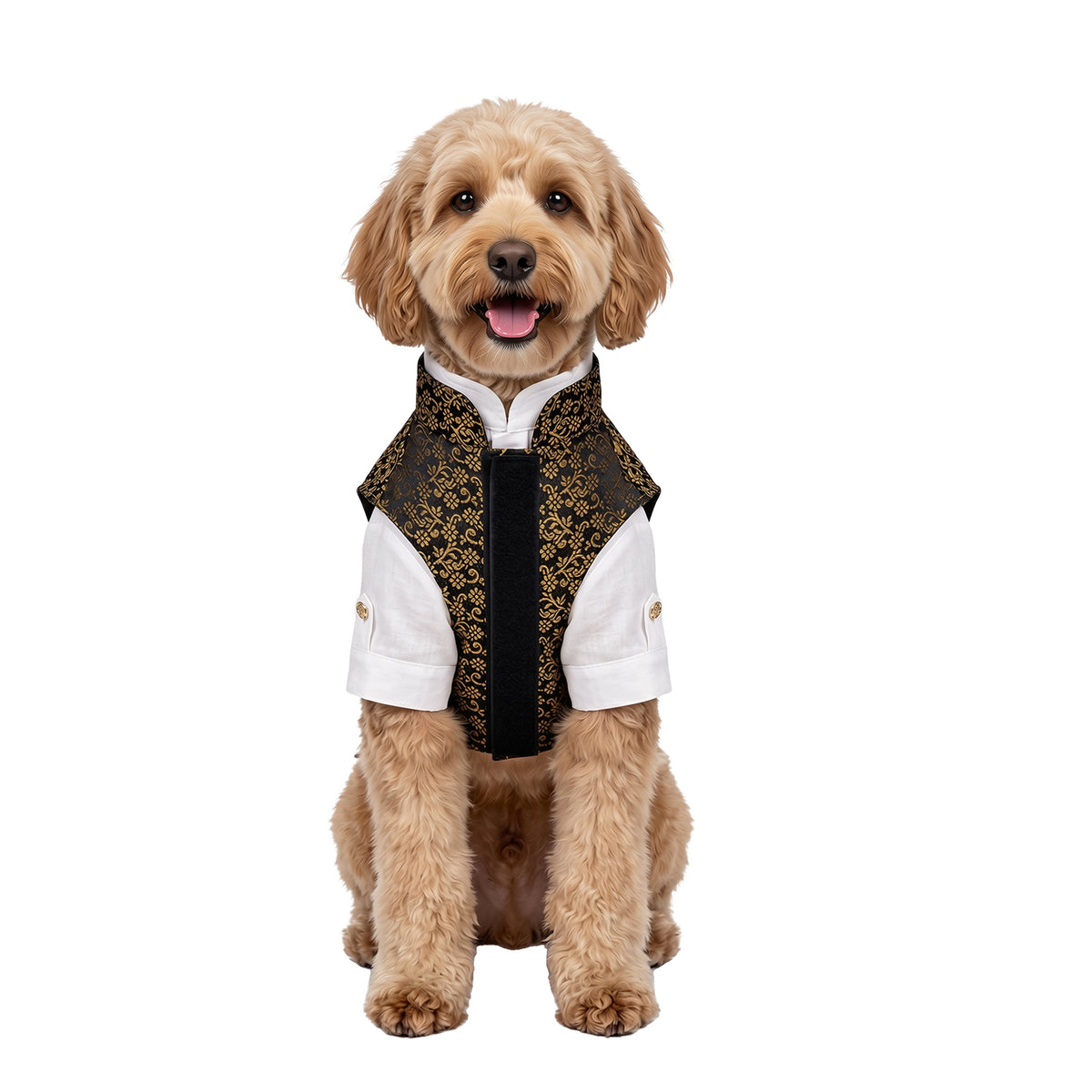 Nootie Dog Kurta Jacket Set - Black & Gold
