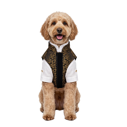Nootie Dog Kurta Jacket Set - Black & Gold