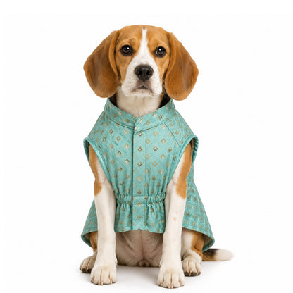 Nootie Dog Kurta - Light Teal Blue Brocade | Traditional Ethnic Outfit for Weddings, Festivals and Celebrations