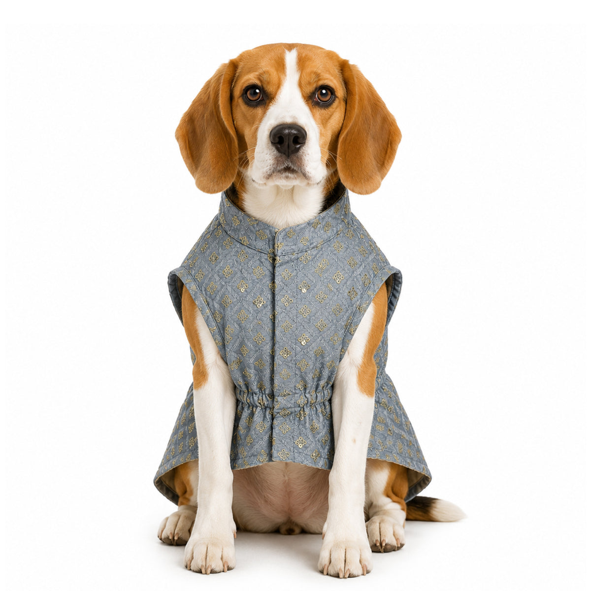 Nootie Dog Kurta - Grey Brocade | Traditional Ethnic Outfit for Weddings, Festivals and Celebrations