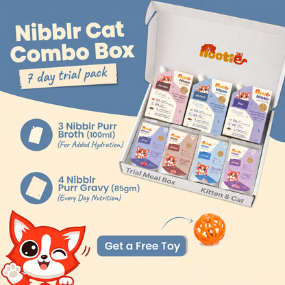 Nibblr Cat Food and Nutrition Combo Box - Gravy + Broth + Toy