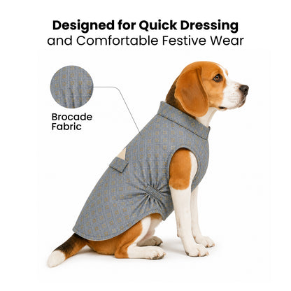 Nootie Dog Kurta - Grey Brocade | Traditional Ethnic Outfit for Weddings, Festivals and Celebrations