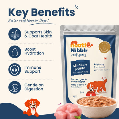 Nibblr Dog Gravy - Chicken Paste