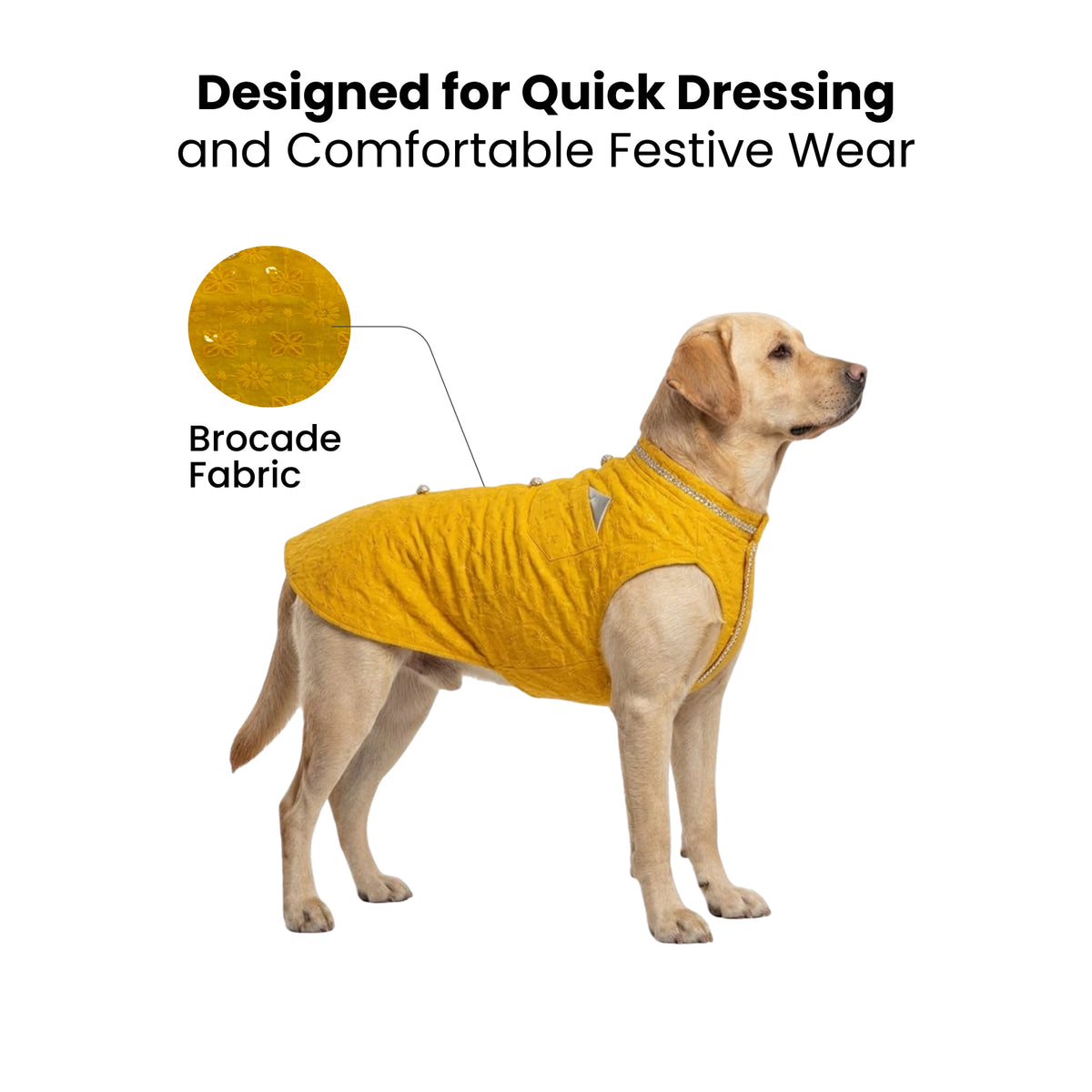 Nootie Dog Sherwani - Yellow