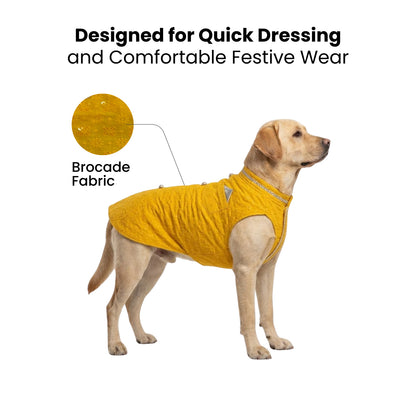 Nootie Dog Sherwani - Yellow