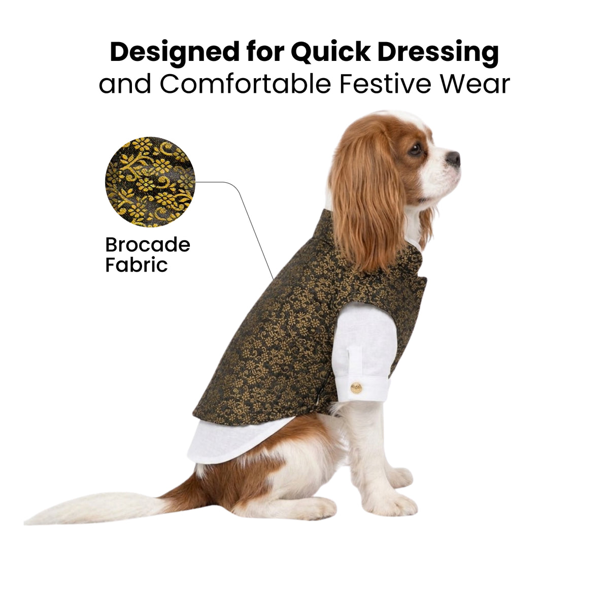 Nootie Dog Kurta Jacket Set - Black & Gold