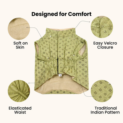 Nootie Dog Kurta - Lime Brocade | Traditional Ethnic Outfit for Weddings, Festivals and Celebrations