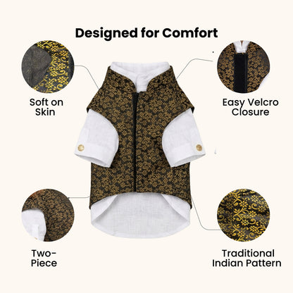 Nootie Dog Kurta Jacket Set - Black & Gold